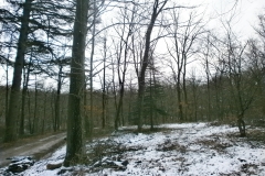 Randonnée pédestre 15 janvier 2017