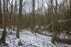 Randonnée pédestre 15 janvier 2017