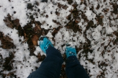 Randonnée pédestre 15 janvier 2017