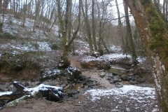 Randonnée pédestre 15 janvier 2017