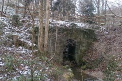 Randonnée pédestre 15 janvier 2017