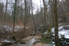 Randonnée pédestre 15 janvier 2017