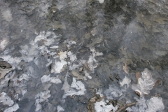 Randonnée pédestre Marcy l'étoile 22 janvier 2017