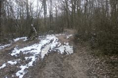 Randonnée pédestre Marcy l'étoile 22 janvier 2017