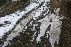 Randonnée pédestre Marcy l'étoile 22 janvier 2017