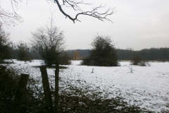 Randonnée pédestre Marcy l'étoile 22 janvier 2017